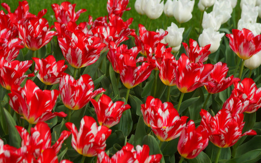 1271247 (a): :2880x1800